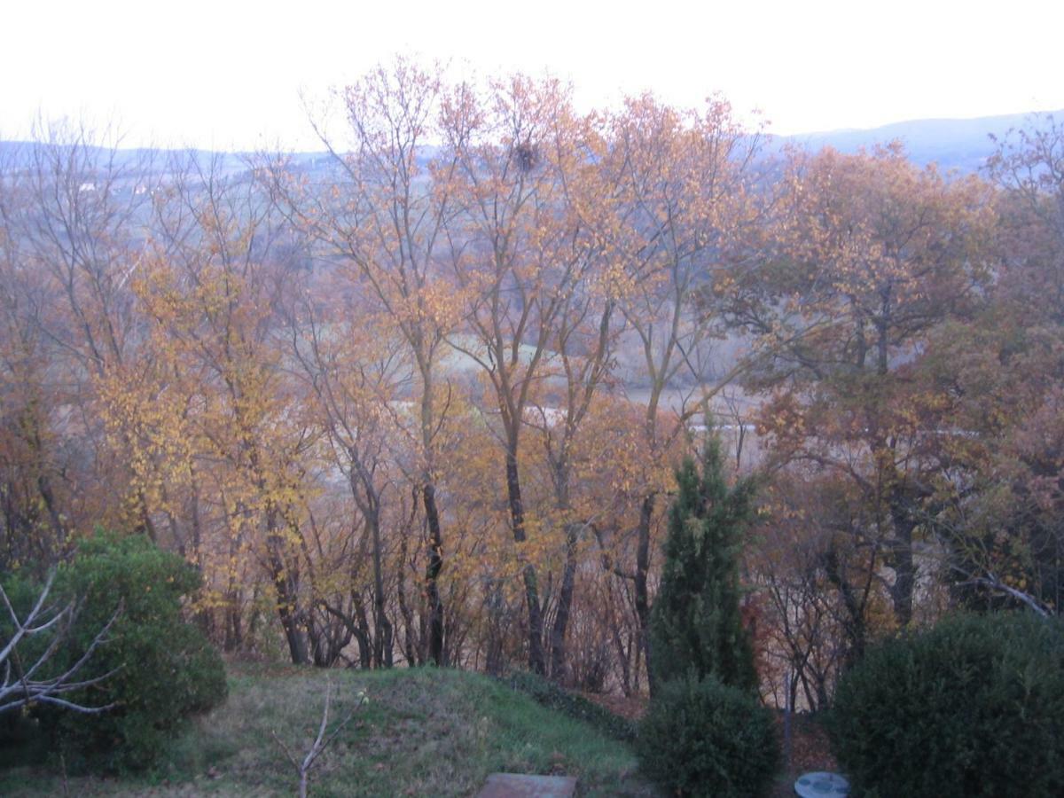 S. Bartolomeo Ii° - "La Loggetta" Apartman Montepulciano Stazione Kültér fotó