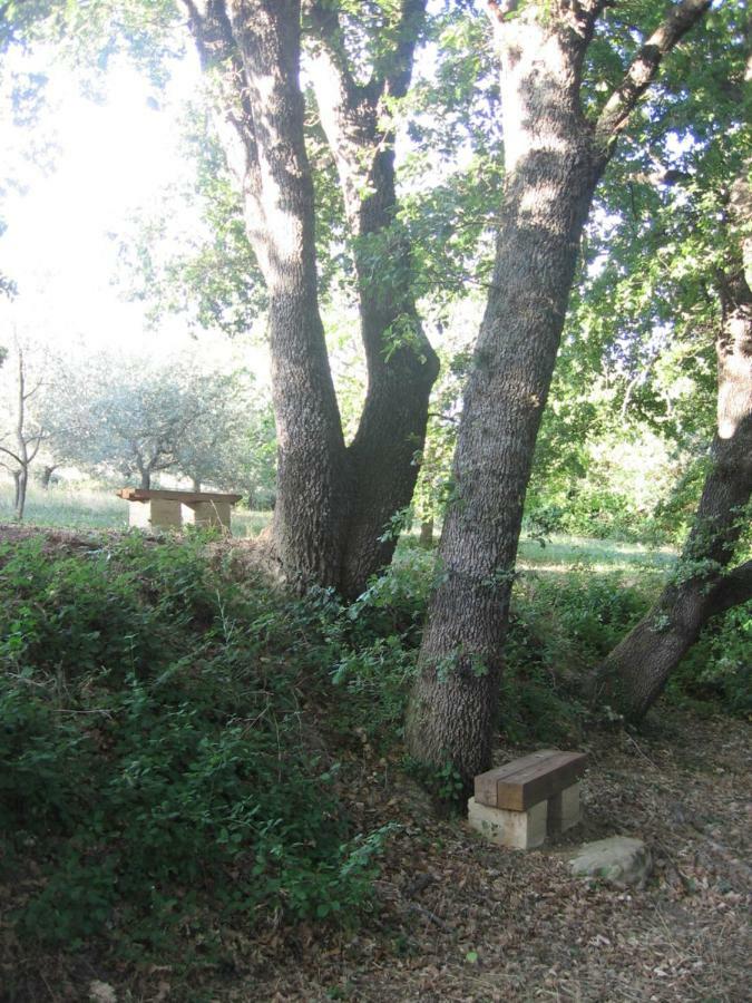S. Bartolomeo Ii° - "La Loggetta" Apartman Montepulciano Stazione Kültér fotó